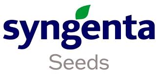 syngenta
